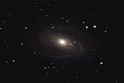 M81 (Bode's Galaxy)